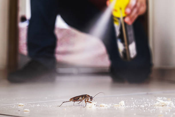 Best Pest Control for Businesses  in Rincon, GA